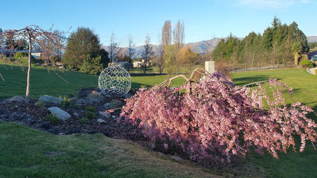 Wanaka Alpine Lodge Εξωτερικό φωτογραφία